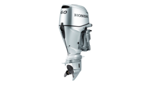 BF60, predný trojštvrťový pohľad na motor.